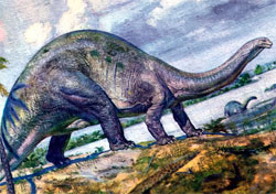 Apatosaurus (Brontosaurus) - dinozaur plante mananca