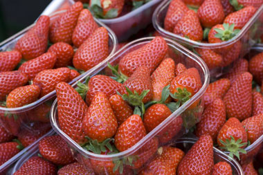 Afaceri în creștere căpșuni la domiciliu modul de a face bani pe boabe cu costuri minime