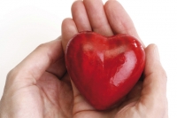 Cât de periculoase boli de inima si daca acesta poate fi vindecat, eternele întrebări, întrebare-răspuns, argumente și fapte