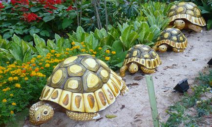 grădină Turtle cu propriile sale mâini
