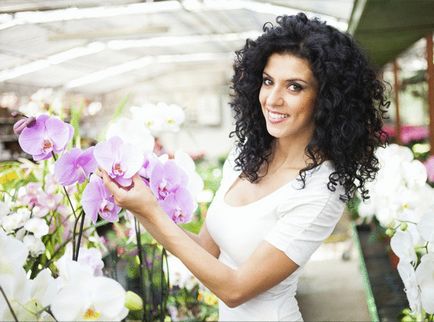 Ce se poate face pentru a floare de orhidee (orhidee are nevoie doar de perioada) Ce se poate face pentru a floare de orhidee