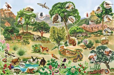 Care este natura sistemului natural (biologie) (a) Care este sistemul natural al naturii (biologie)