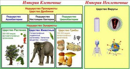 Care este natura sistemului natural (biologie) (naturale) Care este sistemul natural al naturii (biologie)