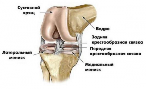 Modificări degenerative ale genunchiului meniscuri