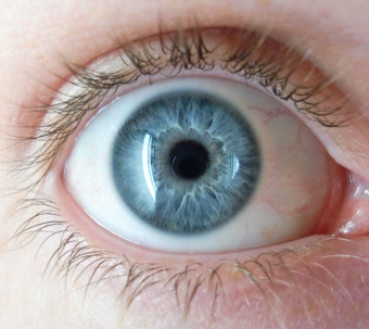 Distrugerea ochiului vitros remedii populare termoprelucrare pentru a scăpa