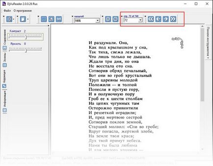 DjVu Reader descărcare gratuită în limba rusă