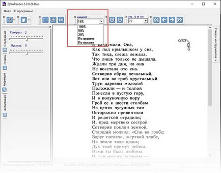 DjVu Reader descărcare gratuită în limba rusă
