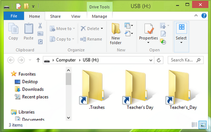 Fișierele și folderele de pe unitatea flash transformat în etichete