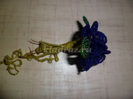 margele Violet cu mâinile (perlele cu mâinile) margele Violet cu mâinile