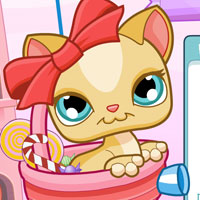 Jocuri Pisici joc online gratuit! (Gratuit) Jocuri Pisici joc online gratuit!