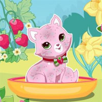 Jocuri Pisici joc online gratuit! (Joc) Jocuri Pisici joc online gratuit!