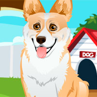 Joc despre câini joc gratuit on-line!