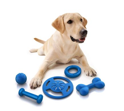 Jucării pentru câini, care sunt, de ce ai nevoie pentru a alege