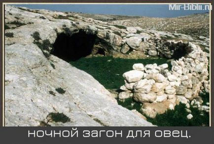Interesant de viață de păstori (viață) viață interesantă de păstori