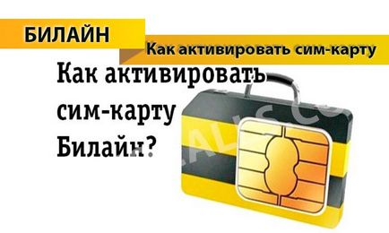 Cum se activează cartela SIM Beeline - 4 moduri de a activa SIM-card Beeline