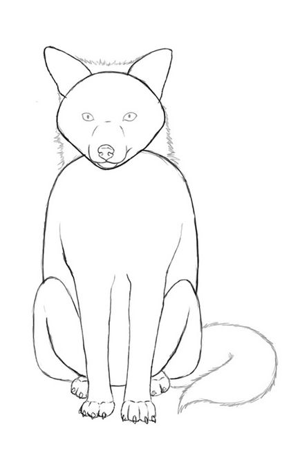 Cum de a desena o vulpe în etape