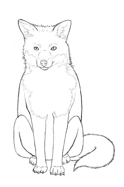 Cum de a desena o vulpe în etape