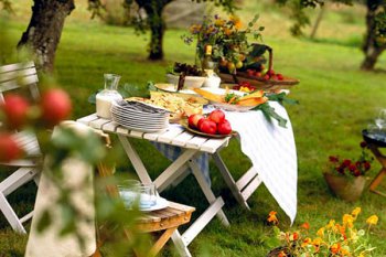 Cum să se relaxeze în țară - știm cum! (Vila) Cum să se relaxeze în țară - știm cum!