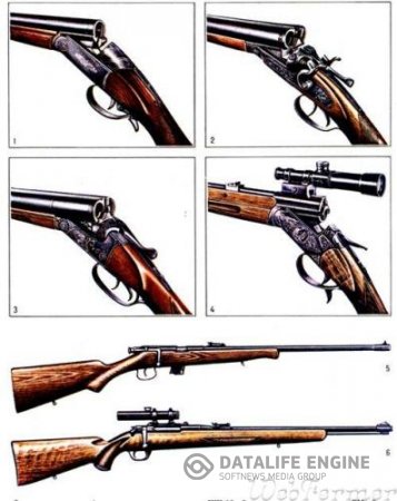 Cum de a vinde în mod corespunzător și legal de vânătoare pușcă