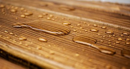 Cum să se ocupe de lemnul de umiditate și de putrefacție