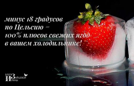 Cum să înghețe fructe de padure pentru iarna, pe blog-ul Iriny Zaytsevoy