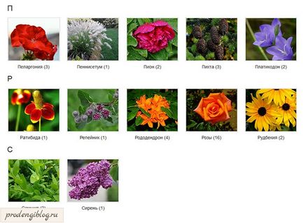 Cum de a face directorul în sine pentru WordPress (el însuși) Cum sa faci un catalog el însuși pe WordPress