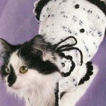 Cum de a lega haine pisica ta - pisica curat - mobilier si imbracaminte pentru animale de companie - pisica curat - mobilier si