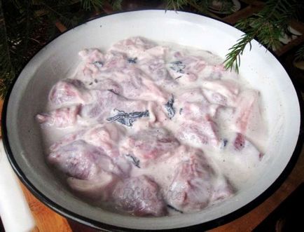 Cum se marineze frigaruile de carne de porc în mod corespunzător și în multe feluri delicioase