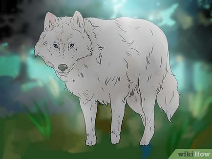 Cum de a începe o casă-lup