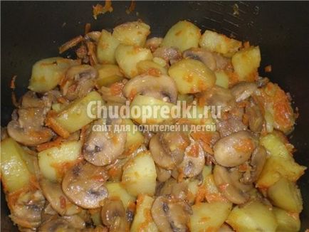 tocană de cartofi cu carne de pui