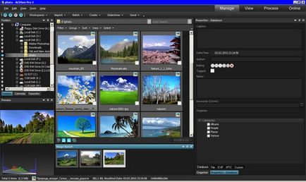 Top fotomenedzhery - ACDSee, ashampoo, picasa sau arunca la gunoi