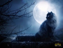 Magic pentru a pedepsi infractorului și riscul consecințelor (pedeapsă) Magic pentru a pedepsi infractorului și riscul consecințelor