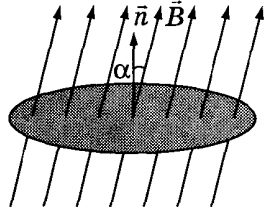 Fluxul magnetic 1