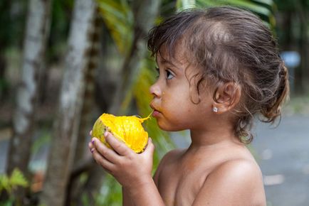 beneficii Mango și Harms, proprietăți valoroase și domeniul de aplicare