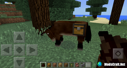 Minecraft pe ghid plin pe cal