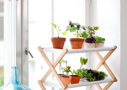 mini apartament grădină cum să crească legume, plante aromatice, și chiar căpșuni la domiciliu