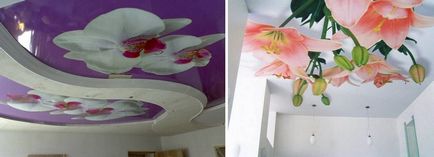 Plafoane întinse cu imagini foto de imprimare și tipuri de desene, opinii, interioare (plafoanele cu imprimare foto) Plafoane întinse cu imagini foto de imprimare și tipuri de desene, comentarii, Interior