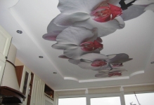 Plafoane întinse cu imagini foto de imprimare și tipuri de desene, avize, interior (tipuri) Plafoane întinse cu imagini foto de imprimare și tipuri de desene, comentarii, Interior