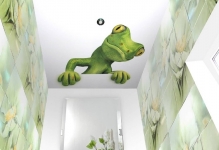 Plafoane întinse cu imagini foto de imprimare și tipuri de desene, recenzii, interior (tavane) Plafoane întinse cu imagini foto de imprimare și tipuri de desene, comentarii, Interior