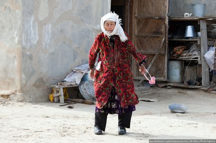 Neindulcit uzbeci trăiesc (32 poze)