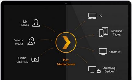 Plex - media server acasă cu acces de la distanță (plex) Plex - media server acasă cu acces de la distanță