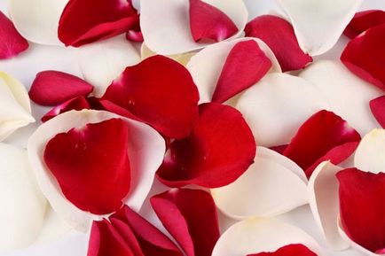 Utilizarea de petale de trandafir - ceea ce este utilizarea de petale de trandafir