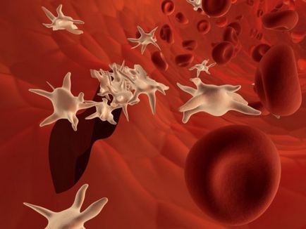 Descifrarea PLT în analiza generală a sângelui ce este norma pentru femei, bărbați și copii, glisiera și