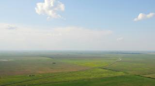 Caracteristici Plains și tipuri