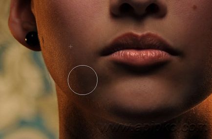 Retușare în Photoshop CS5 Lecții detaliate - economisire - ucis - fotografie (Photoshop) Retușare în Photoshop CS5 Lecții detaliate - economisire - ucis - fotografie