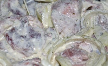 Cele mai gustoase si rapid marinat kebab rețete de porc cu otet, ceapa, lamaie, si nu numai (marinata) Cele mai gustoase si rapid marinat kebab rețete de porc cu otet, ceapa, lamaie, si nu numai