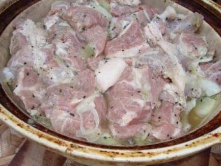 Cele mai gustoase si rapid marinat kebab rețete de porc cu otet, ceapa, lamaie, si nu numai (marinata) Cele mai gustoase si rapid marinat kebab rețete de porc cu otet, ceapa, lamaie, si nu numai