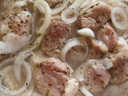 Cele mai gustoase si rapid marinat kebab rețete de porc cu otet, ceapa, lamaie, si nu numai (marinata) Cele mai gustoase si rapid marinat kebab rețete de porc cu otet, ceapa, lamaie, si nu numai