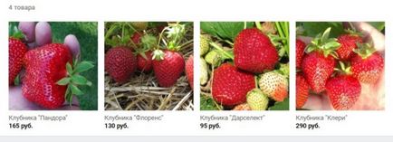 Veniturile în cultivarea de căpșuni - citit, cred, câștiga!