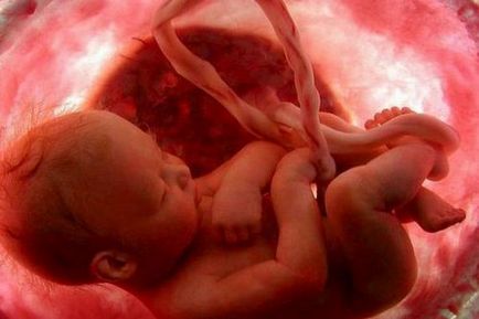 dacă copilul respiră în uter, copilul în uter